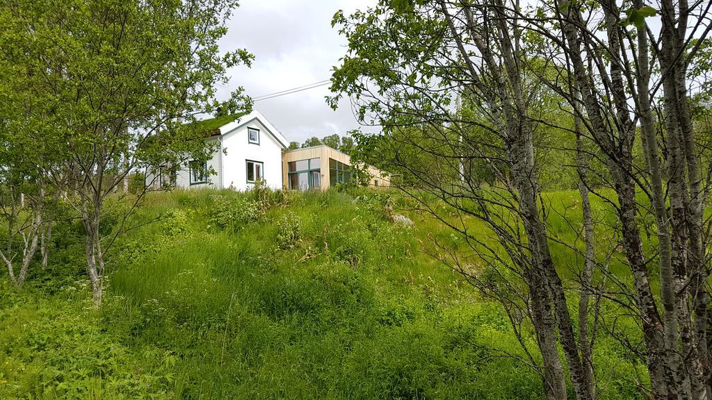 Gamtunet Lyngen Svensby Kültér fotó